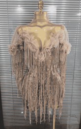 Chelsea See Through Sequin Tassel Dance Dress