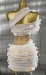 Ava One Shoulder Mesh Mini Dress