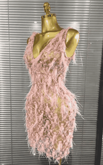 Brienne Pink Pearl Feather Lace See-Through Bodycon Mini Dress for Women