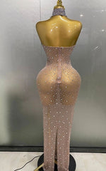 Amanda Luxury Sparkly Silver Rhinestone Sheer Mesh Long Dress