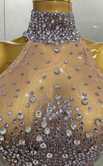 Amanda Luxury Sparkly Silver Rhinestone Sheer Mesh Long Dress