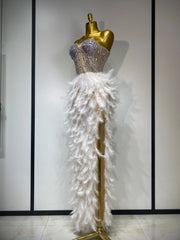 Anna Sparkly Rhinestone Feather Mesh Long Dress