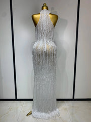 Allison Elegant Sexy Shiny Crystal Tassel Long Dress
