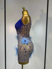 Cory Diamonds Feather Sexy See Through Sleeveless Stretch Bodycon Dress