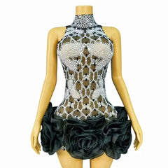Cami Pearly Rhinestone Sexy Mesh See-Through Mini Birthday Dress