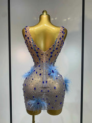 Cory Diamonds Feather Sexy See Through Sleeveless Stretch Bodycon Dress