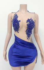 Brandy Sexy See-Through Sparkly Beaded Birthday Party Dress
