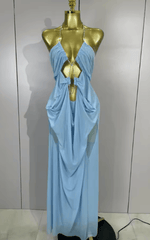 Amanda Sheer Mesh Halter Low Neck Backless Sleeveless Long Dress
