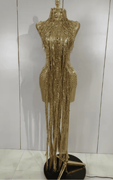 Adrielle Sparkly Gold Diamond Sheer Mesh Tassel Mini Dress