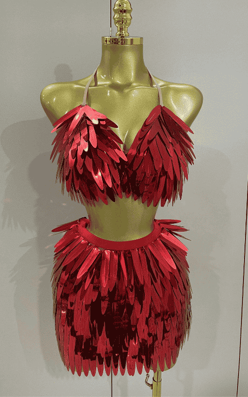 Abigail Shiny Mirror Two Piece Stage Costume Set