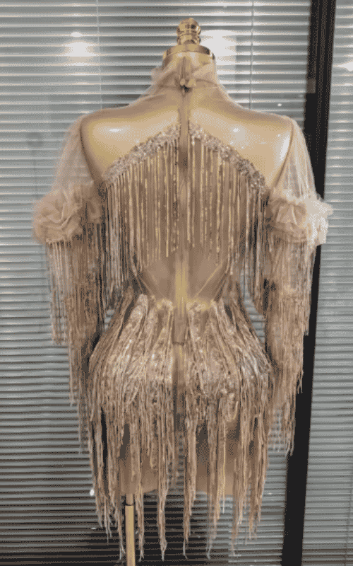 Chelsea See Through Sequin Tassel Dance Dress