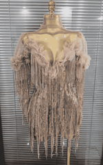 Chelsea See Through Sequin Tassel Dance Dress