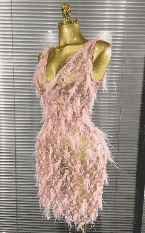 Brienne Pink Pearl Feather Lace See-Through Bodycon Mini Dress for Women