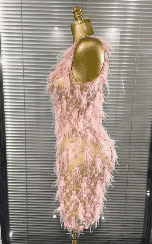 Brienne Pink Pearl Feather Lace See-Through Bodycon Mini Dress for Women