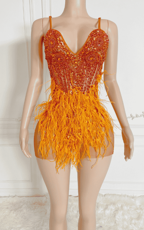 Diamond Crystal Feather Mini Birthday Dress
