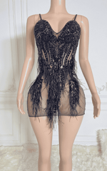 Diamond Crystal Feather Mini Birthday Dress