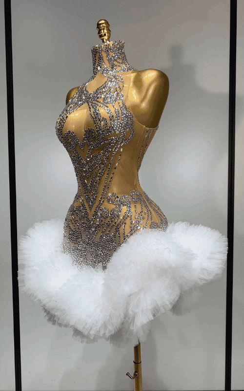 Britanny Diamonds Mesh See Through Dress