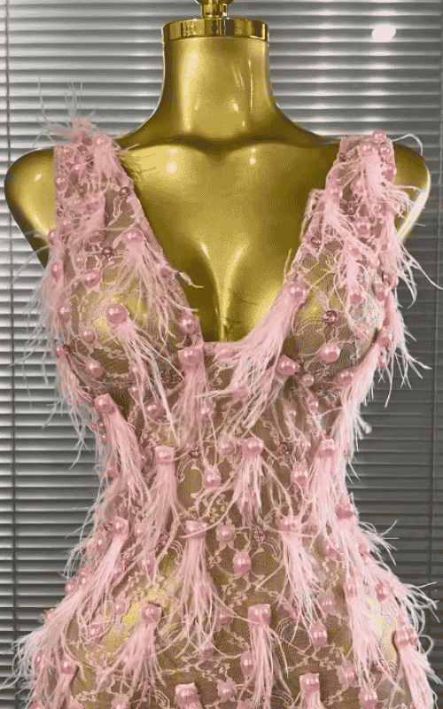 Brienne Pink Pearl Feather Lace See-Through Bodycon Mini Dress for Women