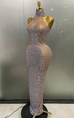 Amanda Luxury Sparkly Silver Rhinestone Sheer Mesh Long Dress