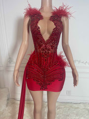 Diamond Feather Crystal Rhinestone Birthday Dress