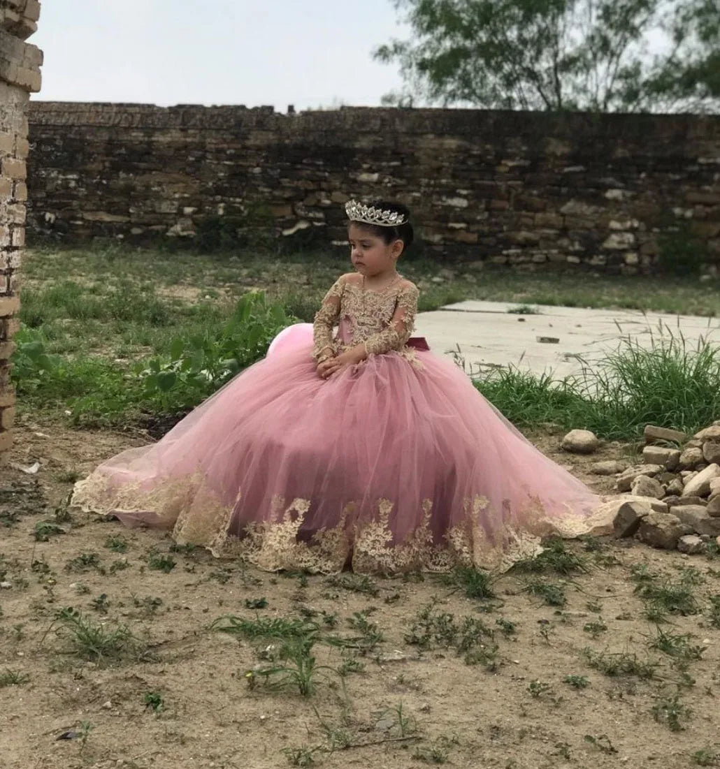 Appliqued Flower Girl Princess Dress