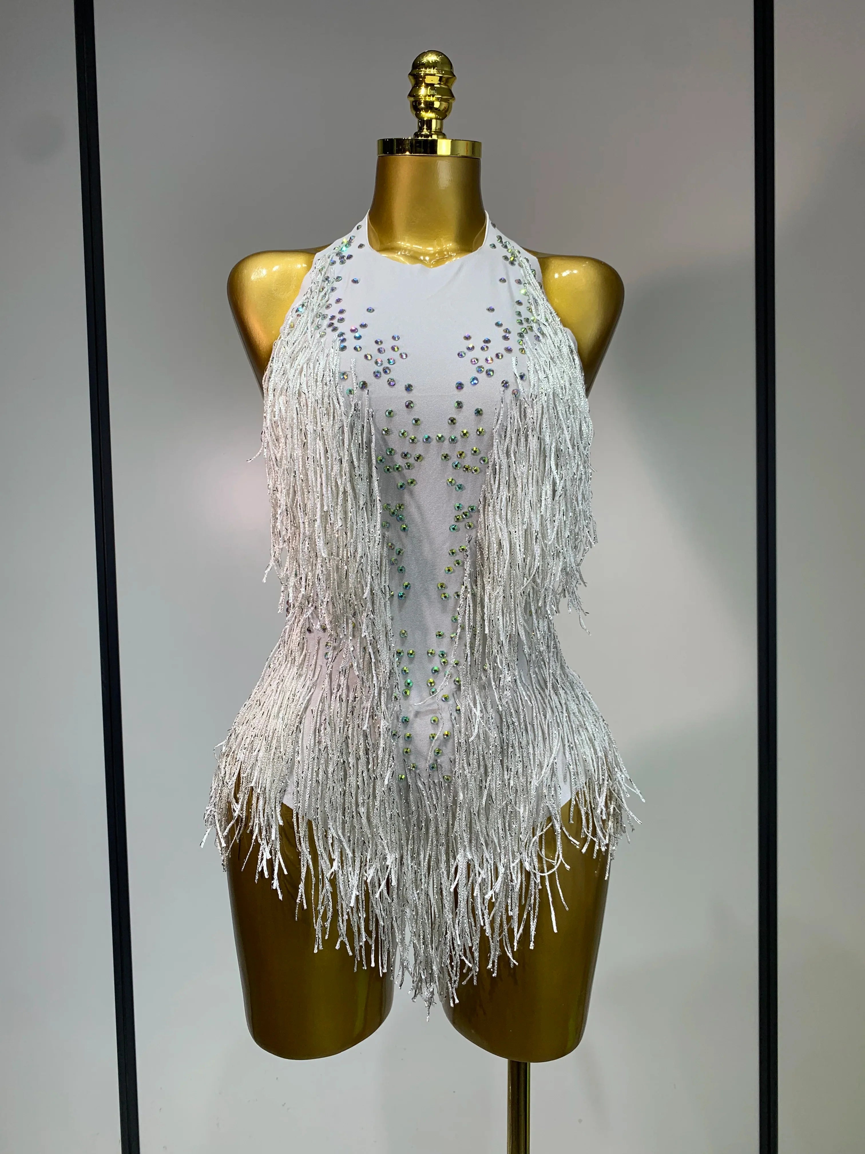 Danica Sparkly Rhinestones Fringes Leotard
