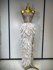 Anna Sparkly Rhinestone Feather Mesh Long Dress