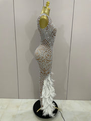 Ari Feather Evening Dress