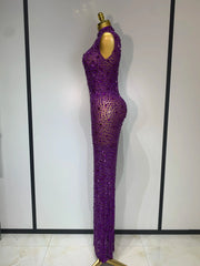 Cameron Sparkly Rhinestone Sleeveless Stretch Long Dress