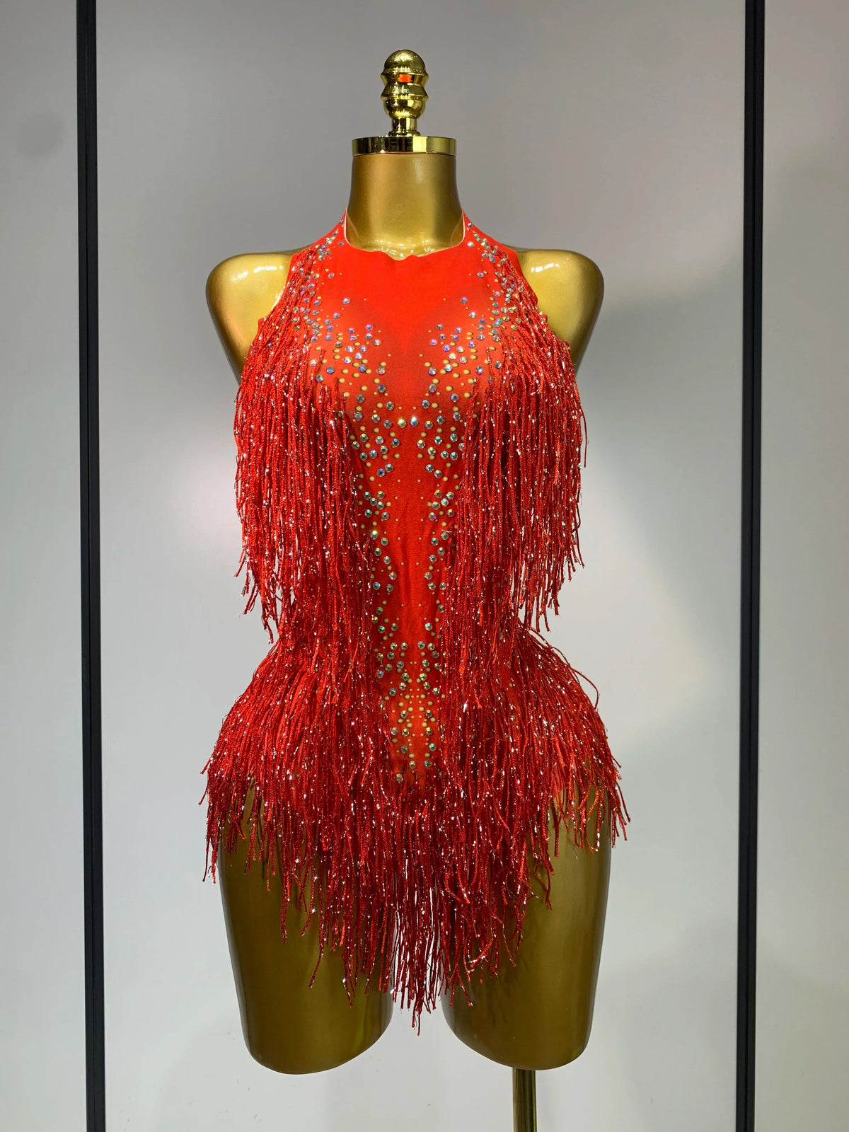 Danica Sparkly Rhinestones Fringes Leotard