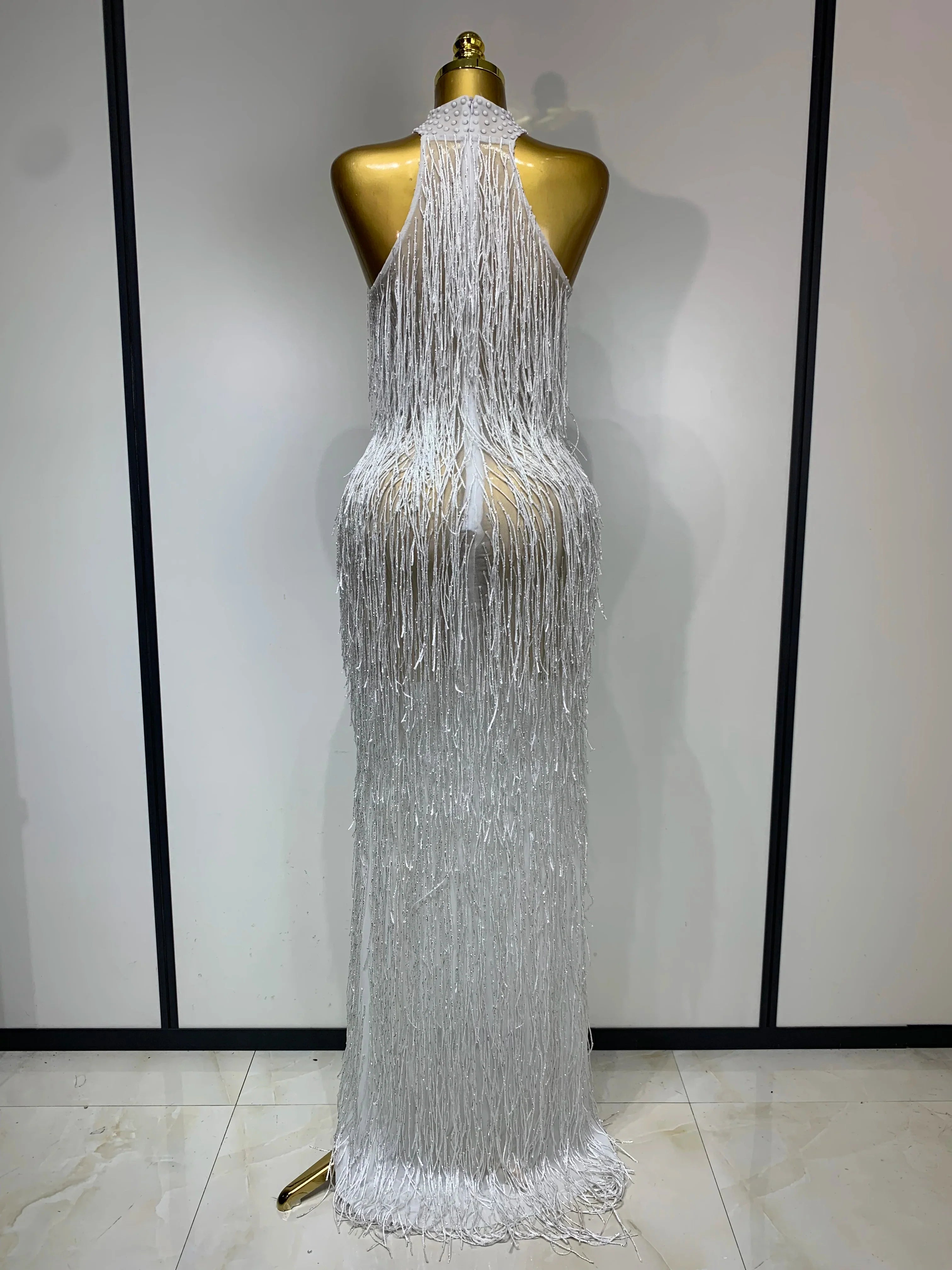 Allison Elegant Sexy Shiny Crystal Tassel Long Dress