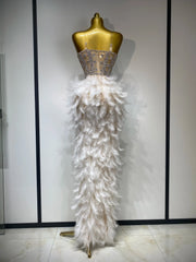 Anna Sparkly Rhinestone Feather Mesh Long Dress