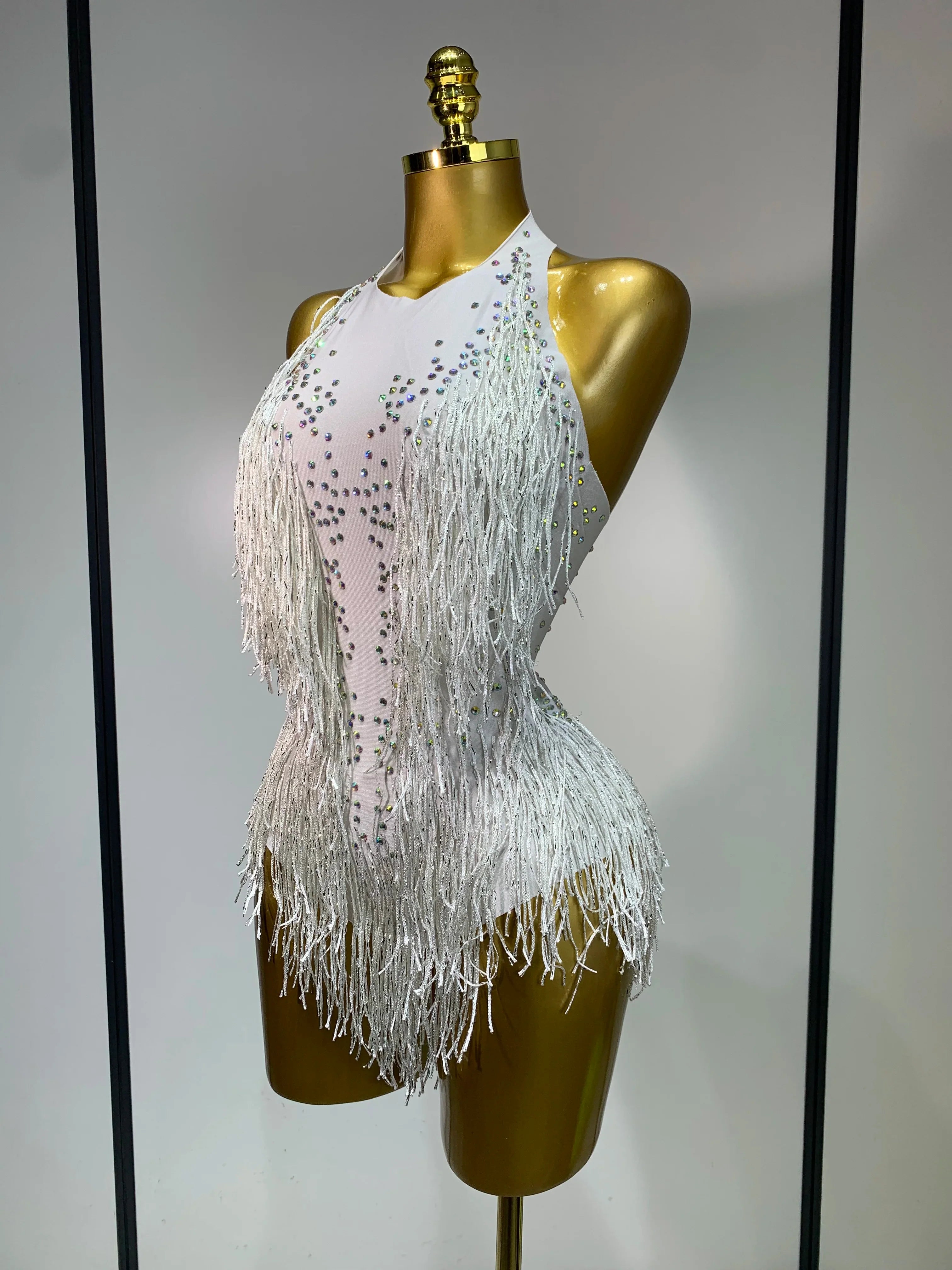 Danica Sparkly Rhinestones Fringes Leotard