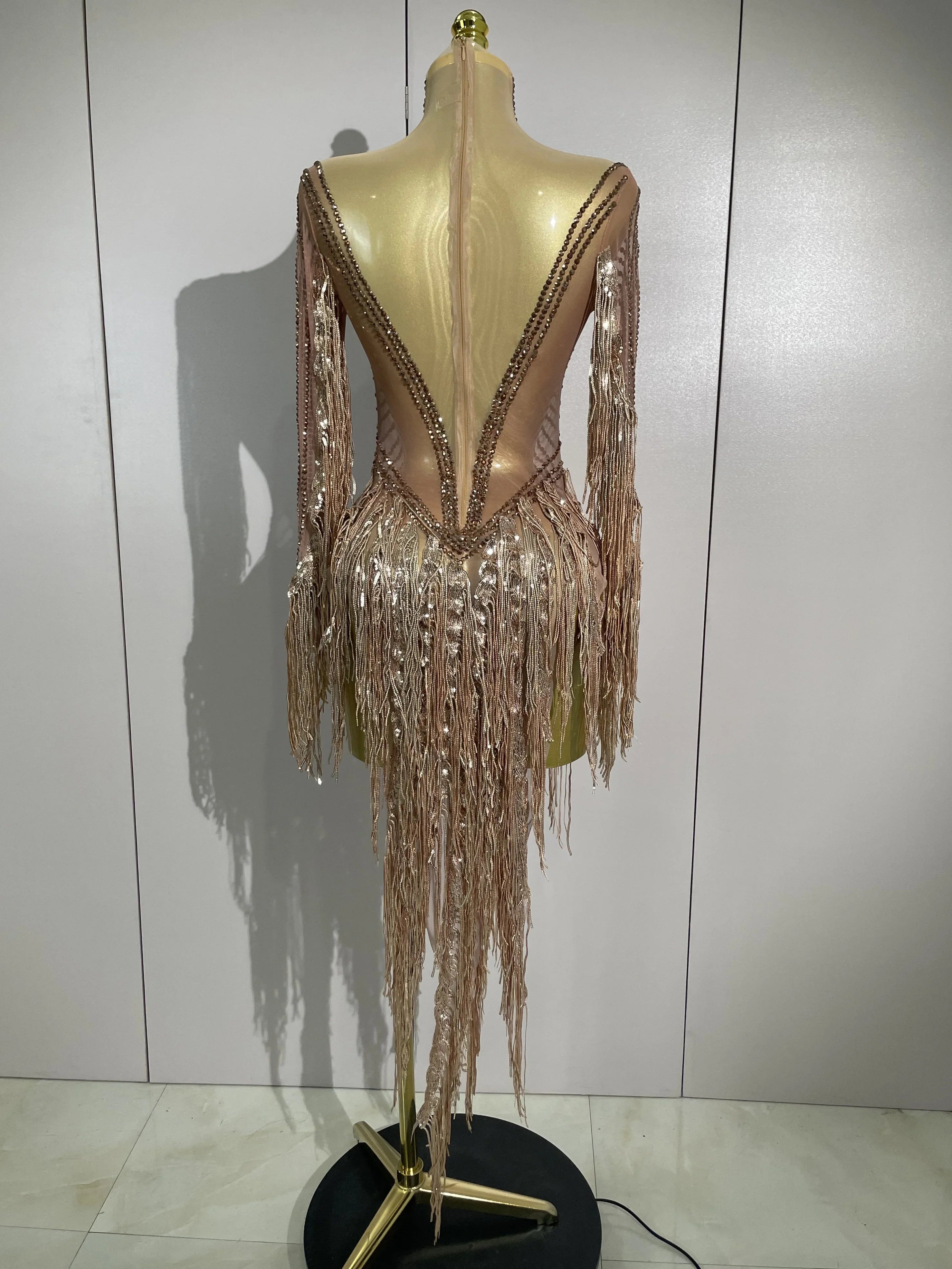 Aimee Sexy Sheer Mesh Long Sleeve Sparkly Rhinestone Sequin Tassel Dress