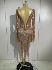 Aimee Sexy Sheer Mesh Long Sleeve Sparkly Rhinestone Sequin Tassel Dress