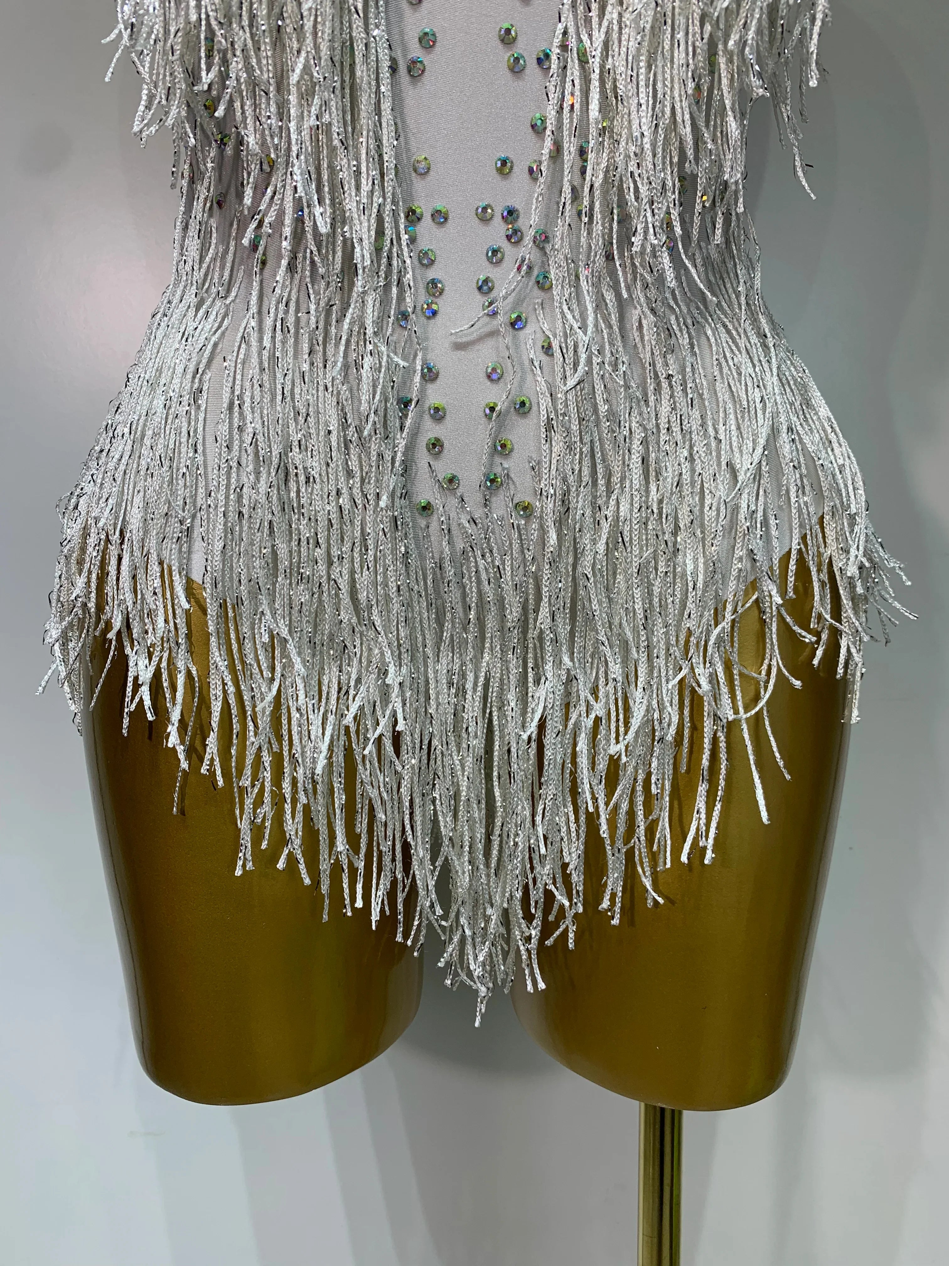 Danica Sparkly Rhinestones Fringes Leotard