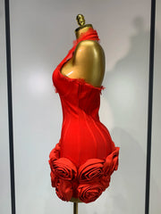 Alessia Halter Applique Bandage Dress