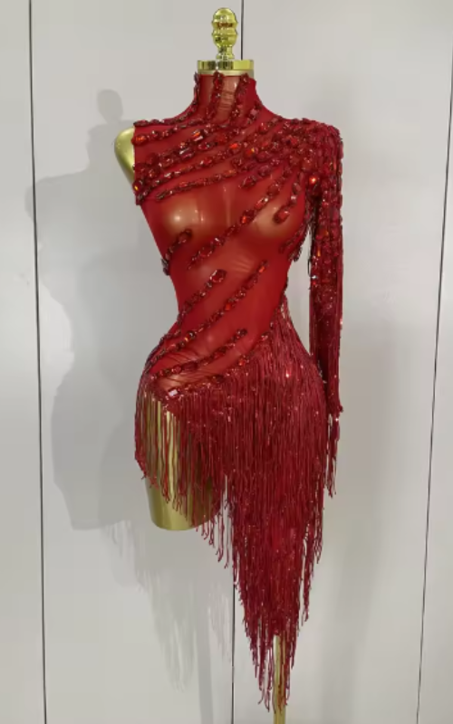Ayla Sparkly Rhinestone Tassel Sheer Bodycon Dress