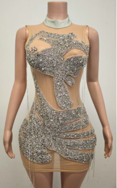 Camille Rhinestone Mesh Sheer Mini Birthday Dress