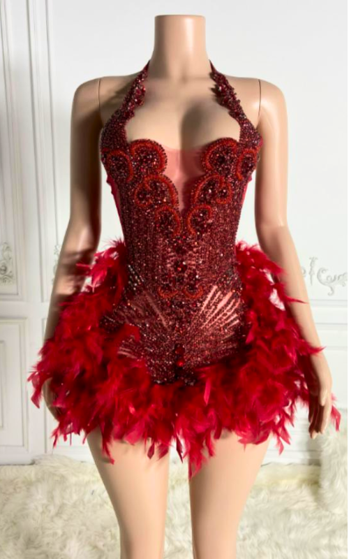 Claire Glitter Crystal Feathered Mini Birthday Dress
