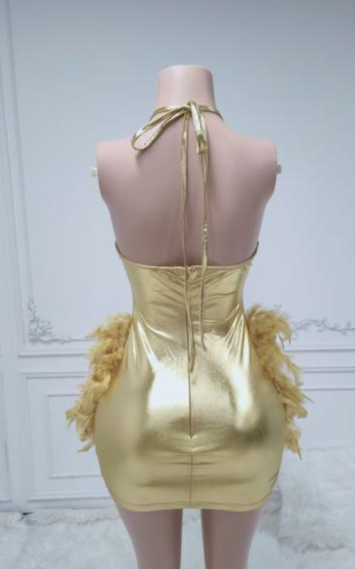 Claire Glitter Crystal Feathered Mini Birthday Dress