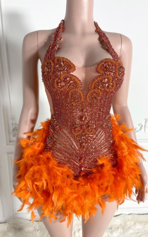 Claire Glitter Crystal Feathered Mini Birthday Dress