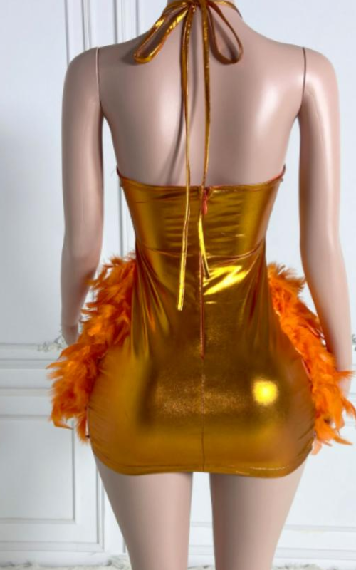 Claire Glitter Crystal Feathered Mini Birthday Dress - Ready to Ship