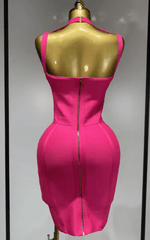 Carole Sexy Bodycon Mini Club Party Dress