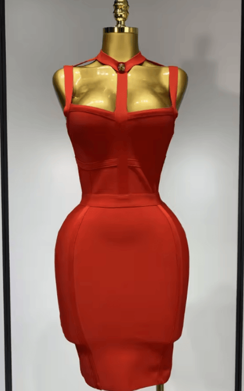 Carole Sexy Bodycon Mini Club Party Dress