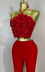 Annie Halter 3D Floral Backless Bodycon Bandage Two Piece Set