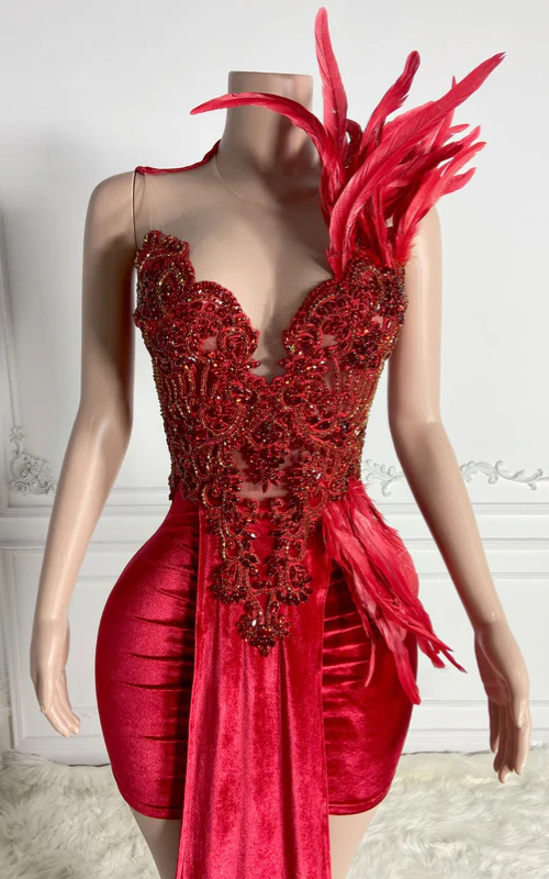 Cassandra Red Sparkly Feathered Birthday Dress - Ready to Ship