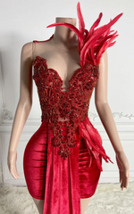 Cassandra Red Sparkly Feathered Birthday Dress - Ready to Ship