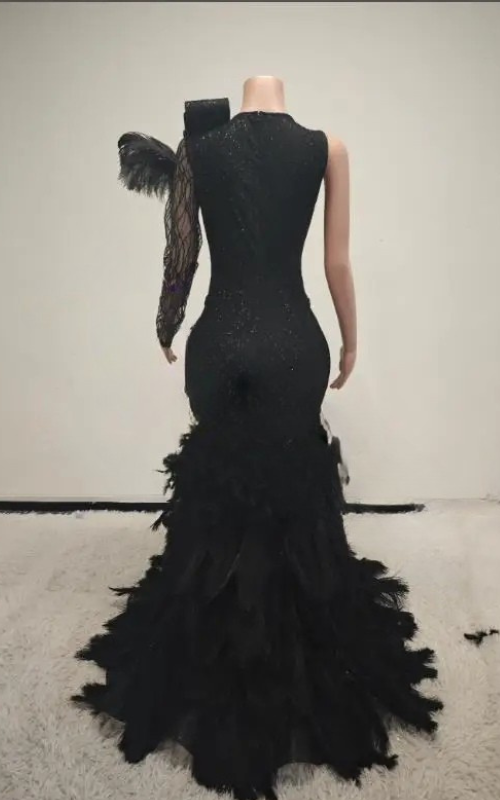 Brenda Sparkly Long Rhinestone with Feather Train Prom Dress