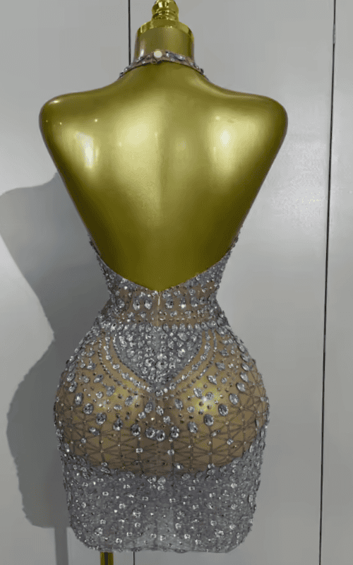 Akisha Sparkly Rhinestone Backless Sheer Mesh Bodycon Mini Dress